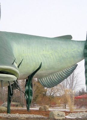 mud_cat_of_dunnville-_on-_canada-kkwnkXb2RemGeKPv