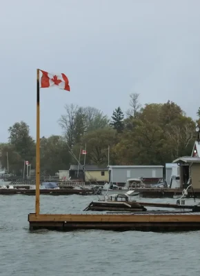 photo-1602665777145-07175d7caab7